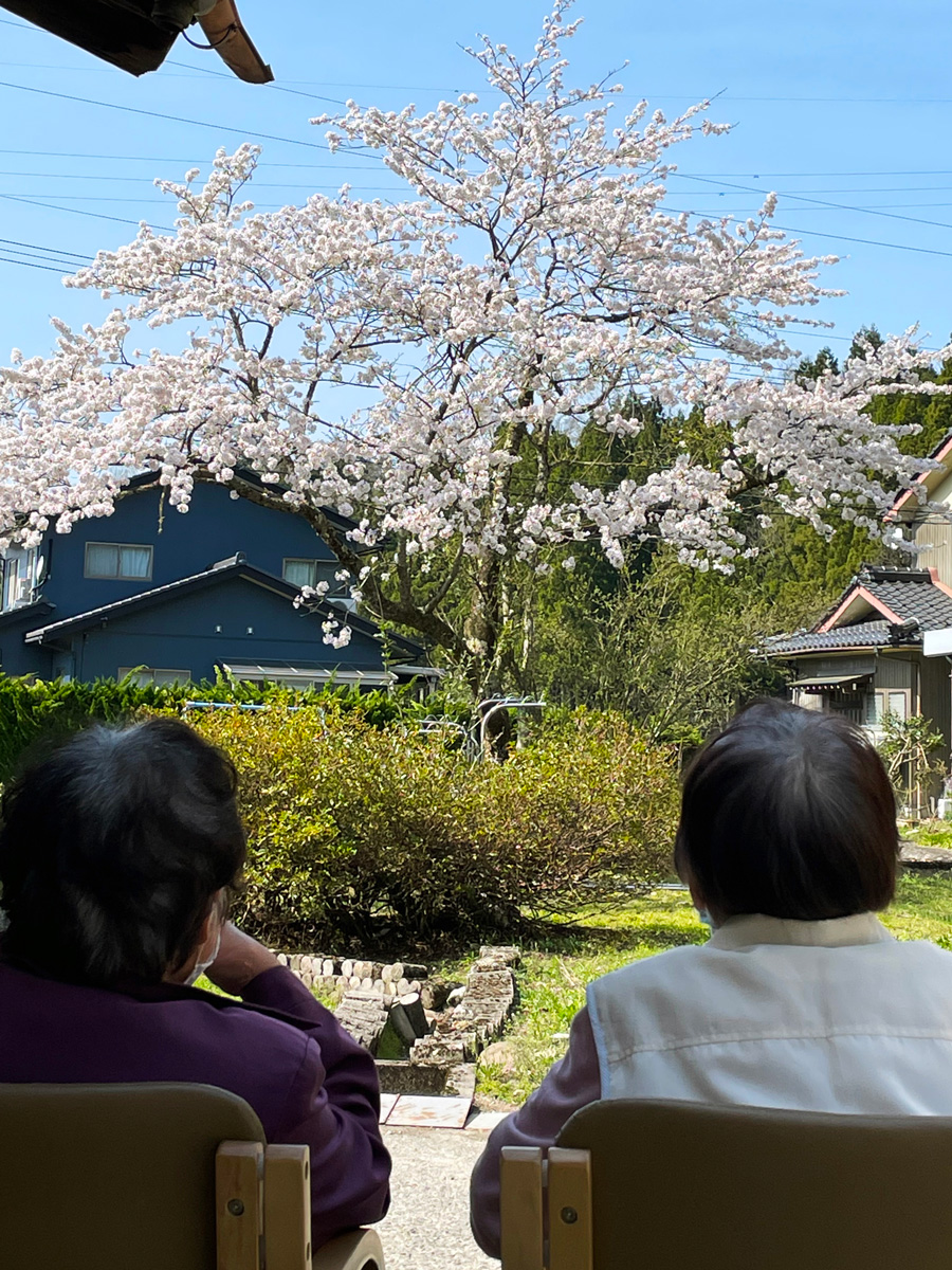 写真：桜_二人