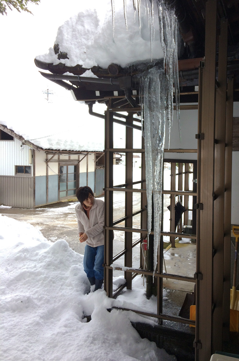 写真：もう地面に着きそうやワ〜！