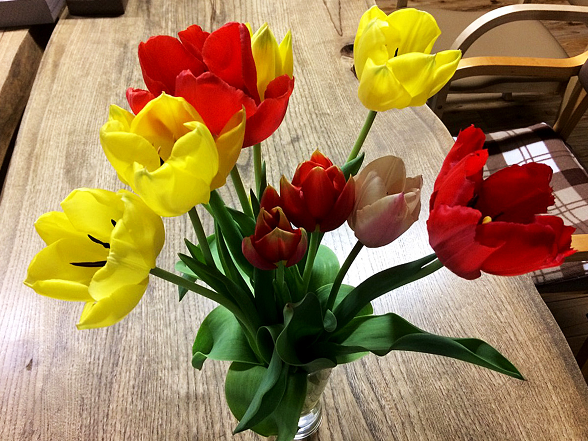 写真：tulip4