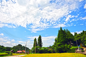 写真：いいちゃの裏道