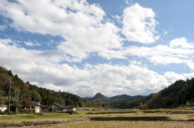 写真：晩秋